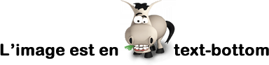 Image utilisateur
