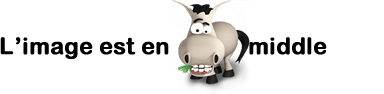 Image utilisateur