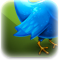 Image utilisateur