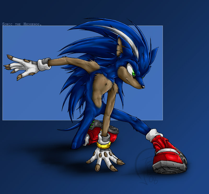Sonic the Hedgehog wolf
