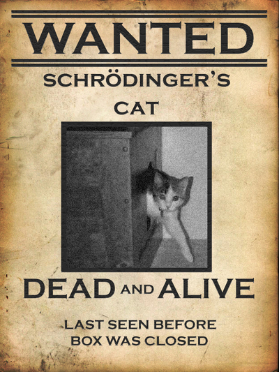 Chat De Schrodinger Pour Les Nuls [Résolu] Le chat de schrodinger - Question : Précisions sur certains