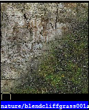 Image utilisateur