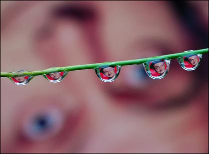 Image utilisateur