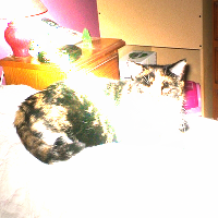 Image utilisateur