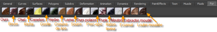 Image utilisateur