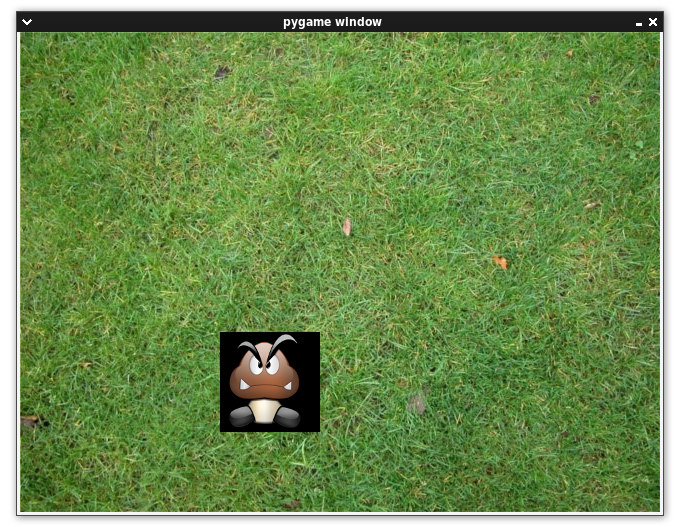 Image utilisateur