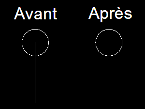 Image utilisateur