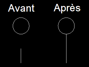 Image utilisateur