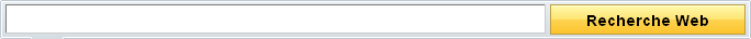 Champ d'un moteur de recherche