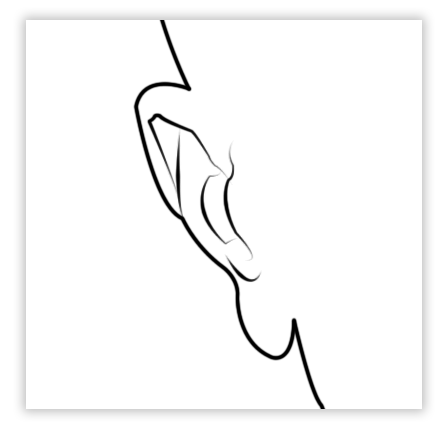 Image utilisateur