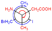 newmann 3