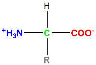 aa zwitterion