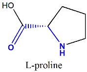 proline