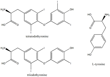 hormones thyr