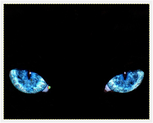 Image utilisateur