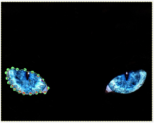 Image utilisateur
