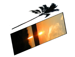 Image utilisateur