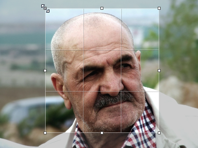 Papie rogné