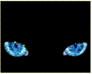 Image utilisateur