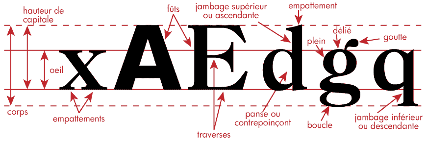 Image utilisateur