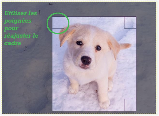 Image utilisateur