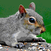 Image utilisateur