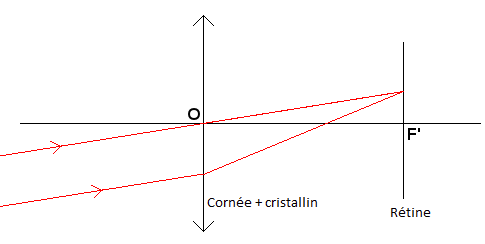 Image utilisateur