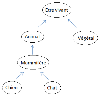 Image utilisateur