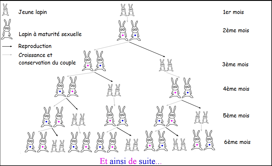 Image utilisateur