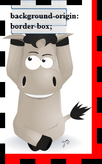 Image utilisateur