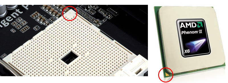 CPU AMD
