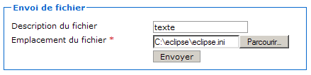 Exemple de données dans le formulaire