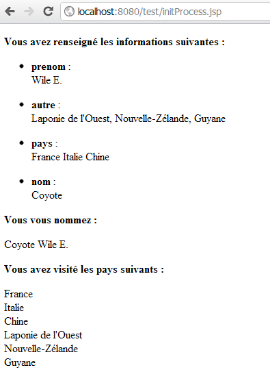 Rendu du formulaire du TP Core.