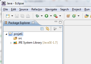 Project Explorer