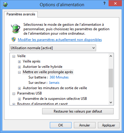 Options d'alimentation avancées