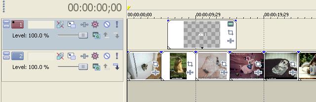 Image utilisateur