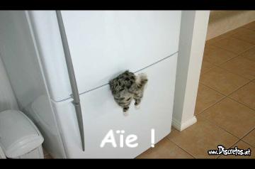Image utilisateur