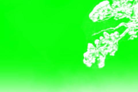 Masque.png