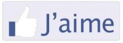 Le bouton « J'aime » de Facebook