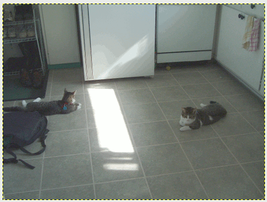 Image utilisateur