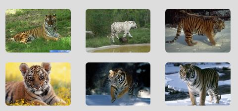 Des images aux coins arrondis