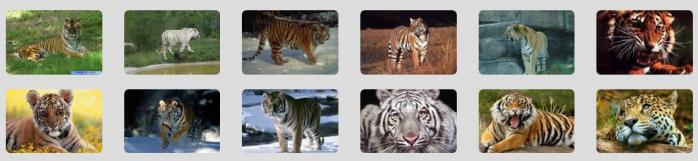 Disposition des images avec la grille
