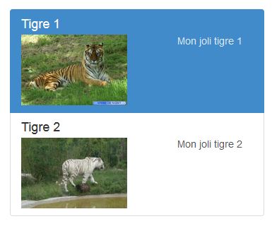 Liste avec des images