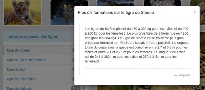 Fenêtre modale dans la page d'exemple