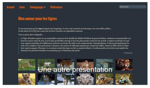 Des titres dans les images