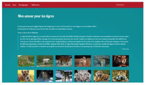 Un indicateur de l'image affichée