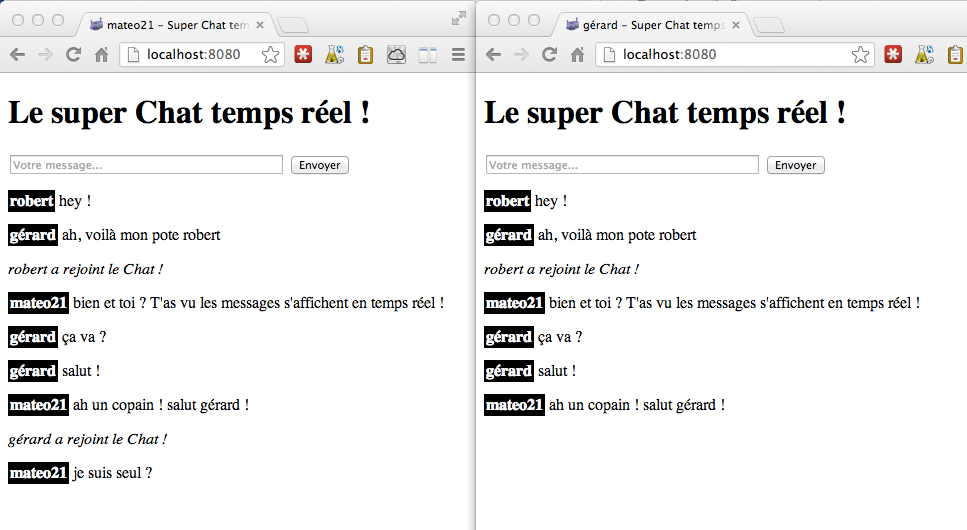 Le Super Chat que vous allez devoir réaliser