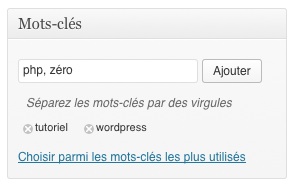 Choix des mots-clés pour chaque article