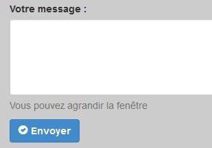 Une icône dans le bouton