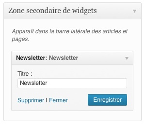 L'ajout du widget dans une zone dédiée